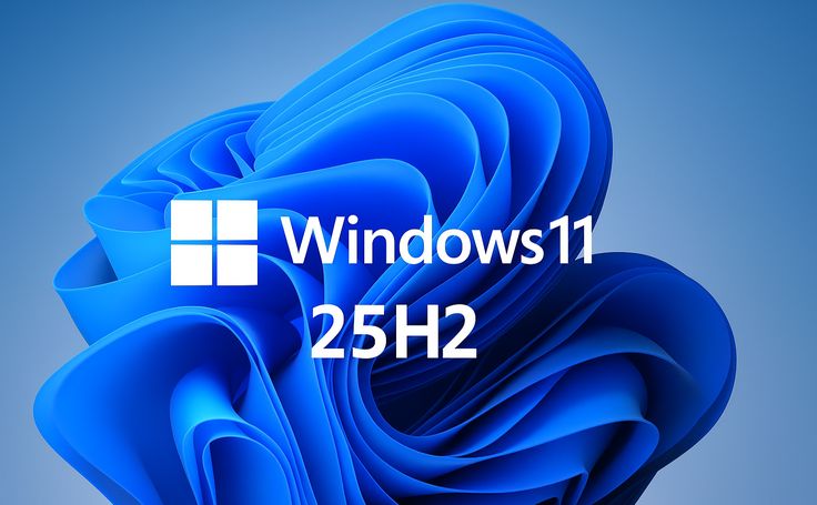 Windows 11 25H2.